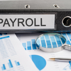 Payroll Data Optimization