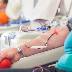 Plasma Donation Process