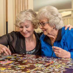 Puzzles