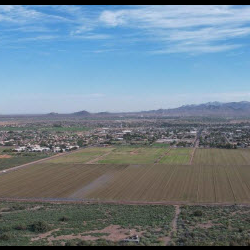 Market Report Subscription