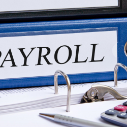 Payroll Processing & Management