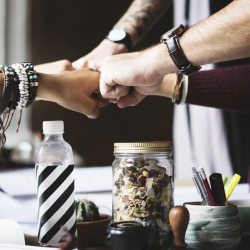 Business Support Team