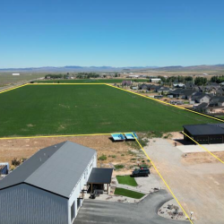 My Company's Active Listings