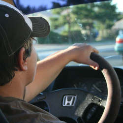 Loaner Vehicles & Courtesy Shuttle Service