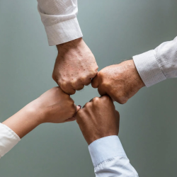Community Partnerships