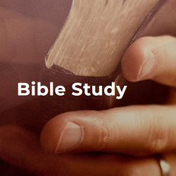 Bible Study