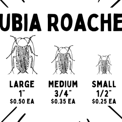 Feeder Insects & Frozen Feeders