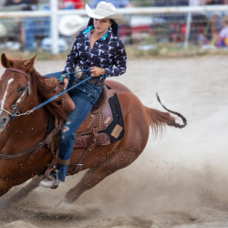 Cedar Valley Rodeo