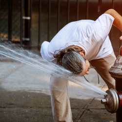 Water Damage Assessment