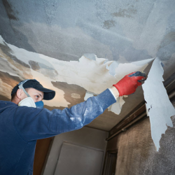 Mold Remediation