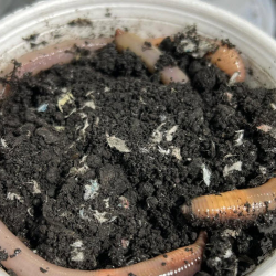 Bait & Tackle Supplies