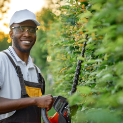 Tree Trimming and Pruning