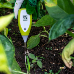 Soil Testing & Analysis