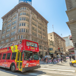 Shore Excursions Group 