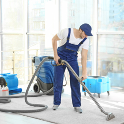 Carpet and Upholstery Cleaning