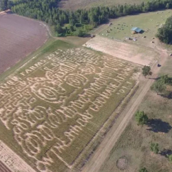 Corn Maze