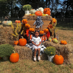 Fall-themed Play Area