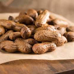 Boiled Peanuts