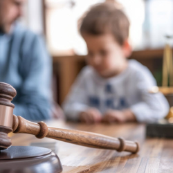 Minors and Juvenile Protection 