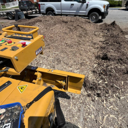 Commercial Stump Removal