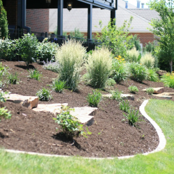 Commercial Landscape Design