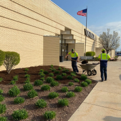 Landscape Installation