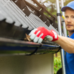 Gutter Cleaning