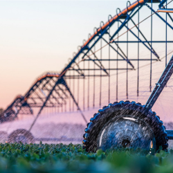Desert Drip & Irrigation 