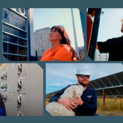 Equity, Diversity and Inclusion