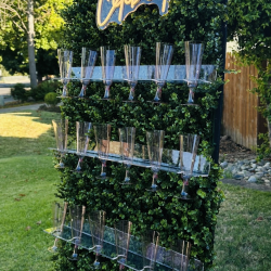 Champagne Wall Rental