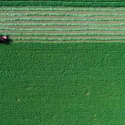 Sustainable Farming In The Desert