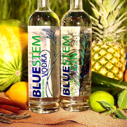 Bluestem Gin 