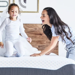 Ashley Sleep Mattresses