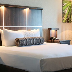 Accommodations
