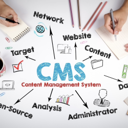CMS
