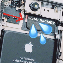 Water Damage Repair
