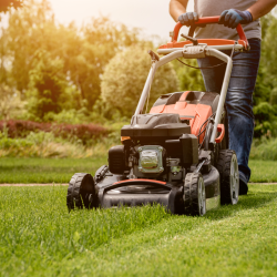 Lawn Mowing