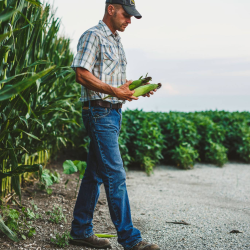 Crop Insurance