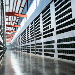 Hosting Services