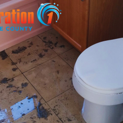 Sewage Cleanup Services