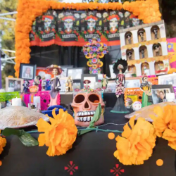 Day of the Dead Event