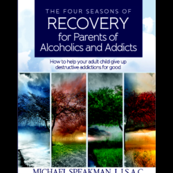 The Four Seasons of Recovery 
