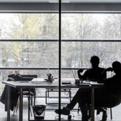 Mediation & Settlement Facilitation