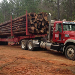 Wholesale Lumber Supply