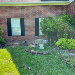 Lawn Mowing & Trimming
