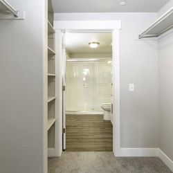 Spacious Walk-In Closets