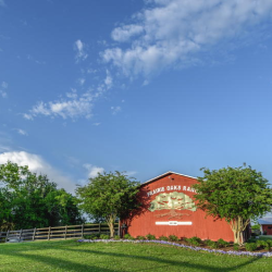 Farm Land & Horse Farms for Sale