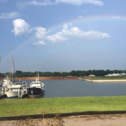 River Conditions