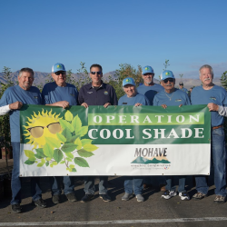 Operation Cool Shade