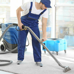 Carpet and Rug Cleaning